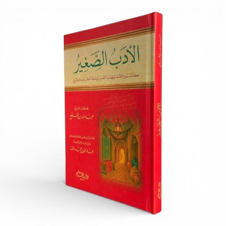 الأدب الصغير