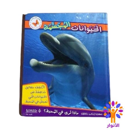 ماذا ترى في المحيط ؟