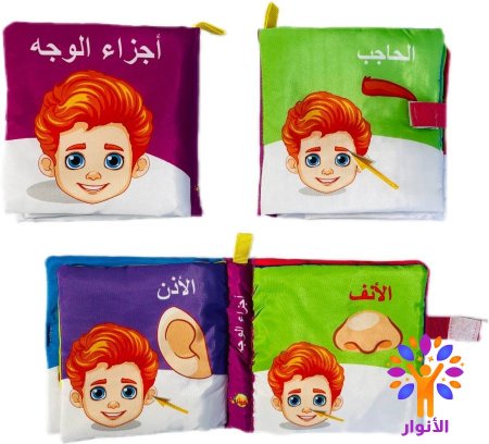 اجزاء الوجه