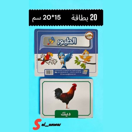 بطاقات الطيور 