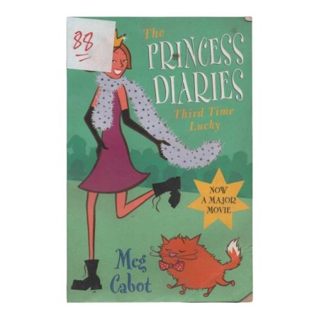 The PRINCESS DIARIES