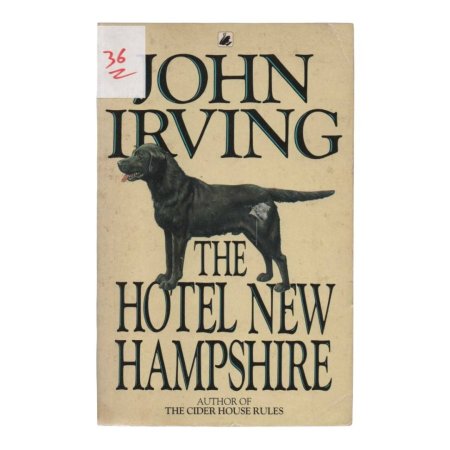THE HOTEL NEW HAMPSHIRE